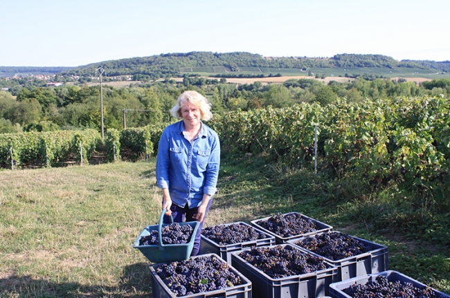 Champagne COUVENT-LEMERY -  Champagne COUVENT-LEMERY -