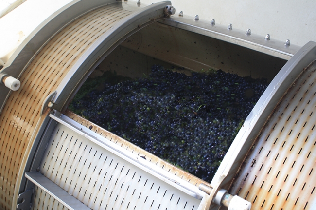 Champagne COUVENT-LEMERY - 